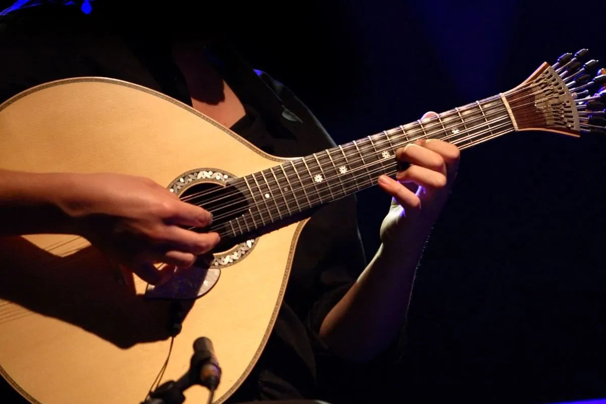 Fado Show with Dinner and Transfers