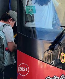 City Sightseeing: Livorno Hop-On, Hop-Off Bus Tour