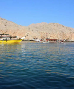 Musandam Sea Safari from Fujairah