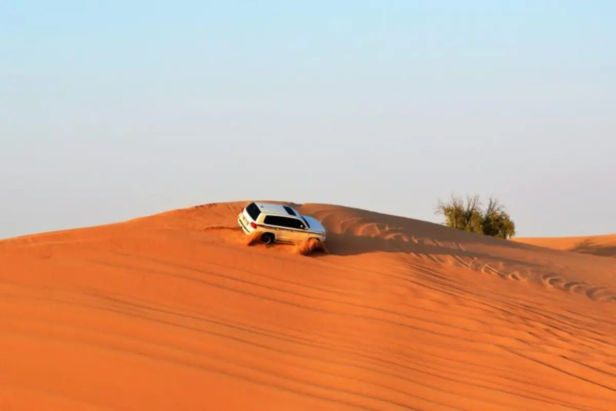 Off-Road Desert Adventure and BBQ Dinner - Abu Dhabi