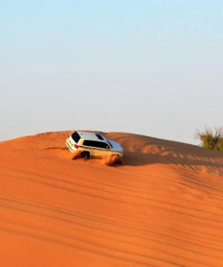 Desert Safari 4x4 with BBQ Dinner - Standard