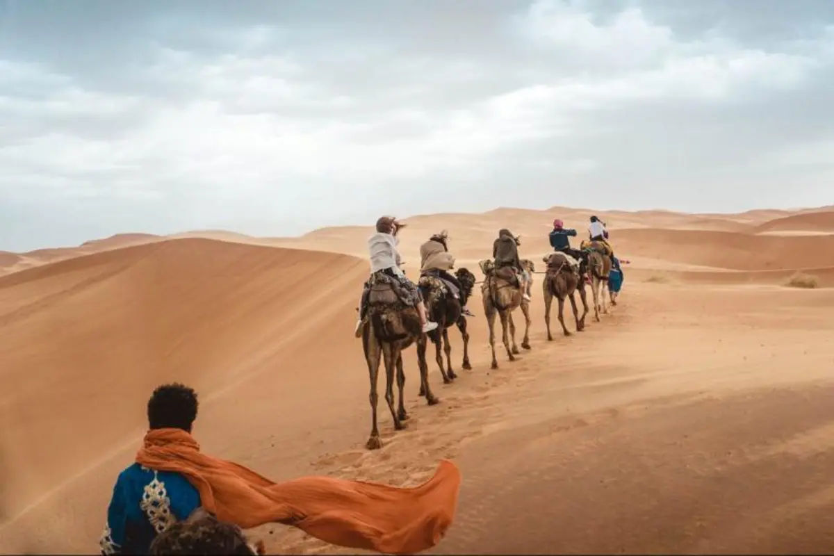 Desert Safari 4x4 with BBQ Dinner