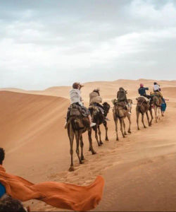 Desert Safari 4x4 with BBQ Dinner - Standard