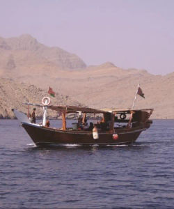 Dolphin Cruise - Muscat