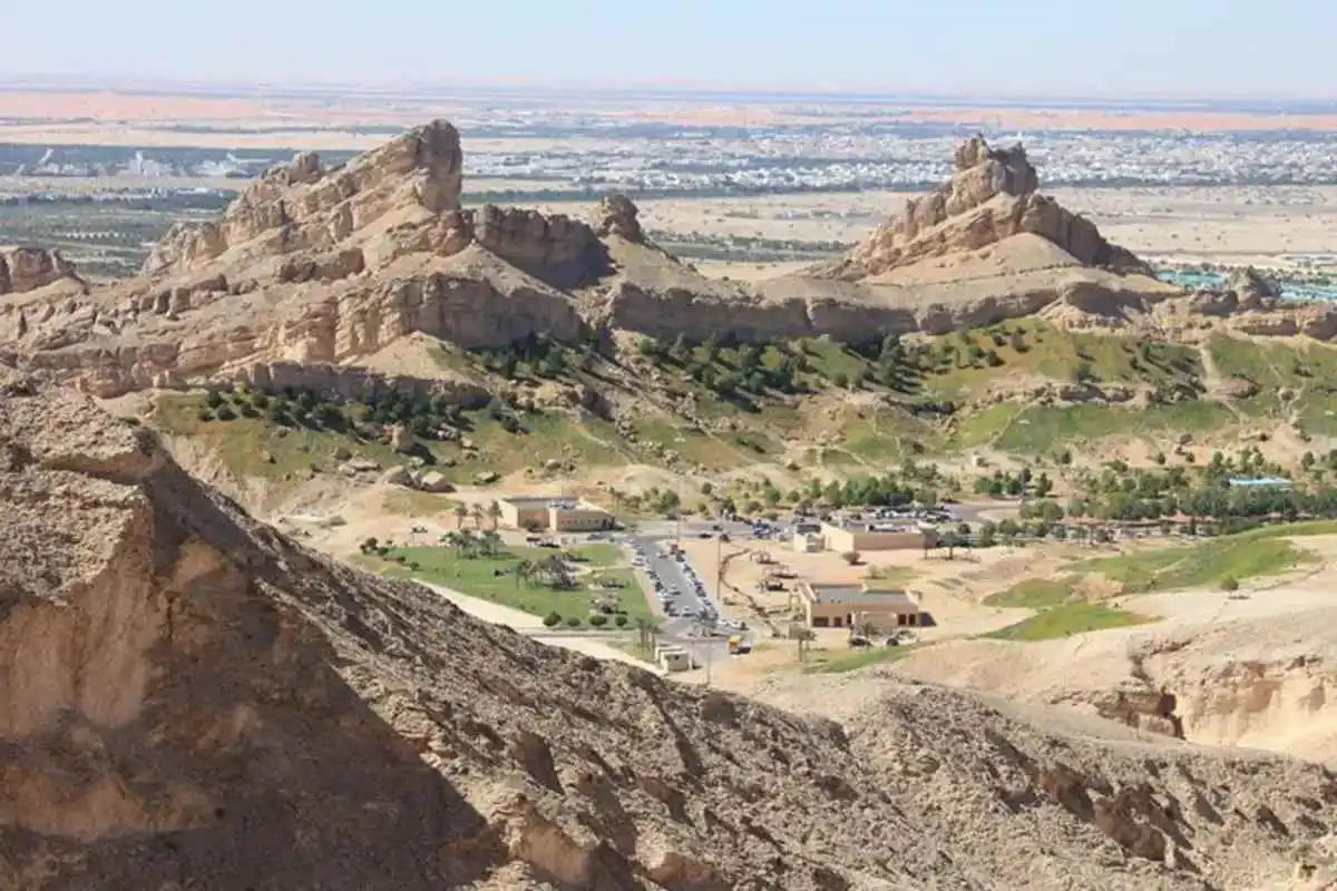 Al Ain Full Day Tour with Lunch