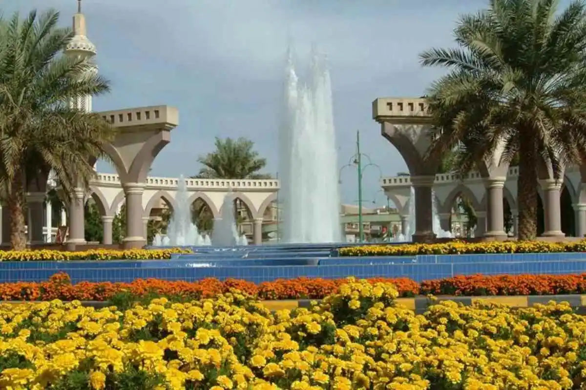 Al Ain Full Day Tour with Lunch