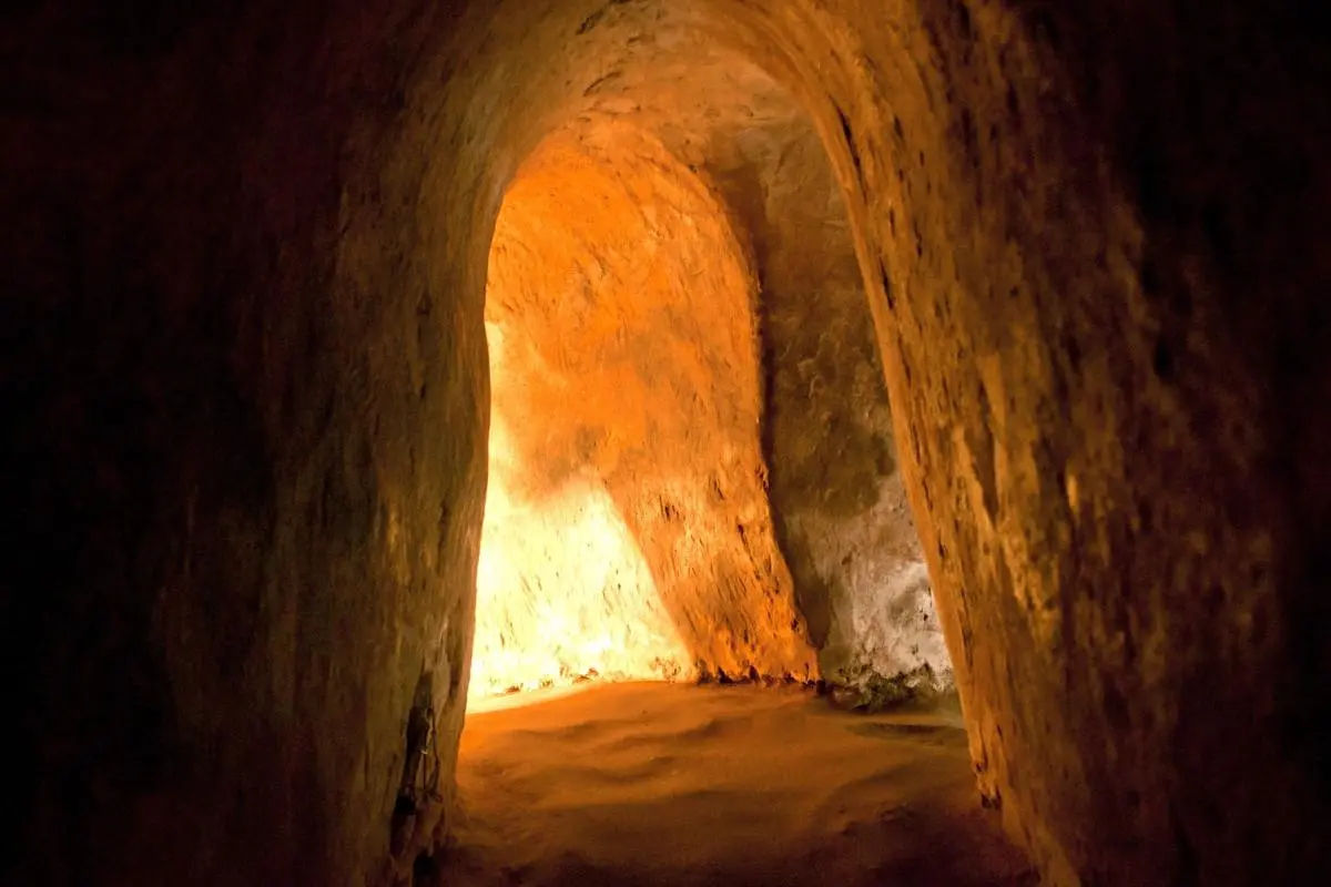 Combo Tour : 3 Days Ho Chi Minh Hop On- Hop Off Bus Tour with Mekong Delta and CuChi Tunnels Entrance