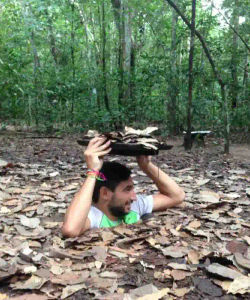 Anh Viet: Ho Chi Minh Hop On Hop Off with CuChi Tunnels (2 Day Pass)