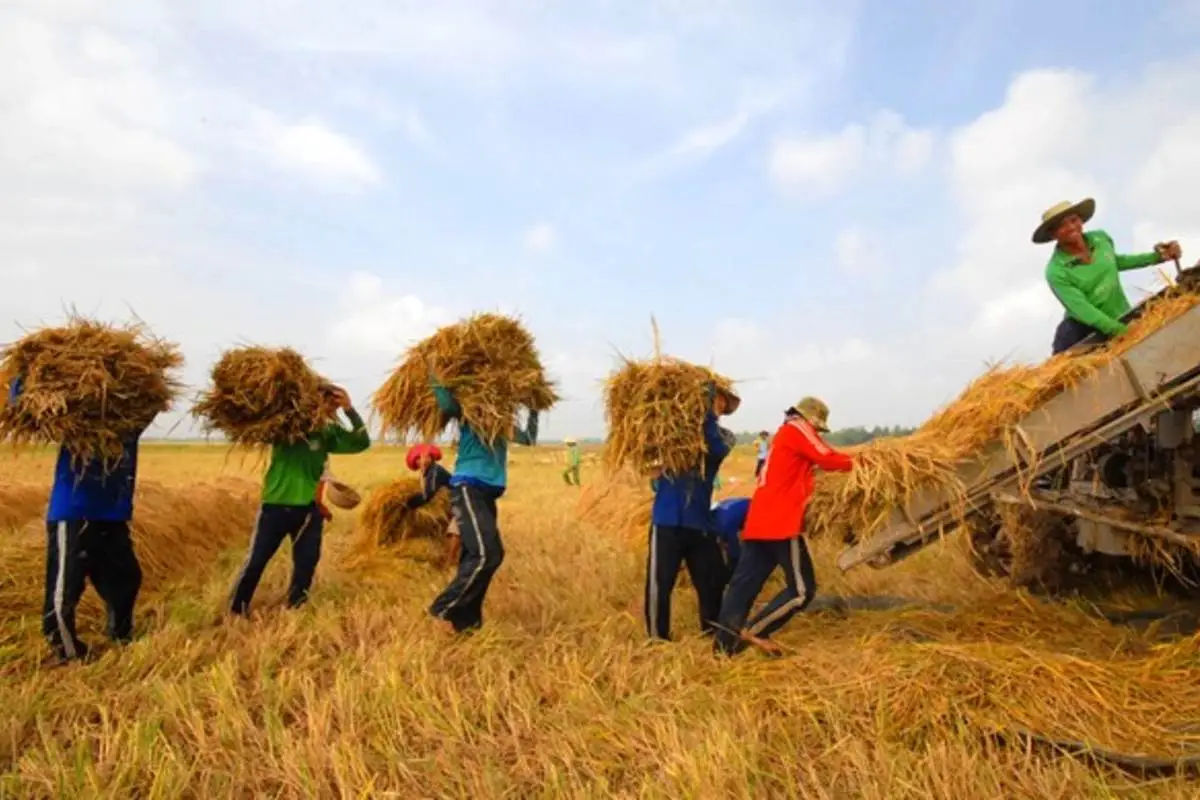 Combo Tour: Ho Chi Minh Panoramic Bus Tour with Ben Nghe Dinner Cruise