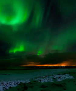 City Sightseeing: Reykjavik Hop-On, Hop-Off Bus Tour + Iceland Northern Lights Tour