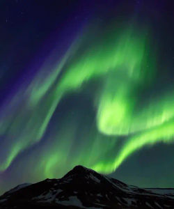 City Sightseeing: Reykjavik Hop-On, Hop-Off Bus Tour + Iceland Northern Lights Tour