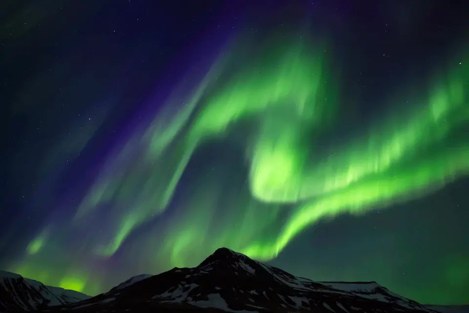 Reykjavik Bus Tour with Northern Lights Tour