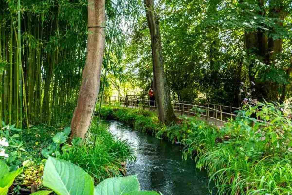 Half Day Guided Tour to Giverny Monet's Gardens - with Transfers