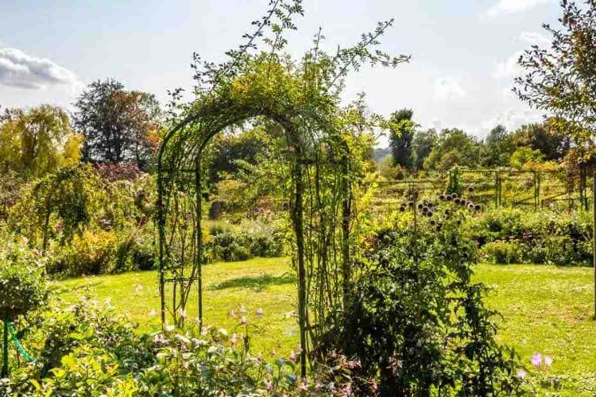 Half Day Guided Tour to Giverny Monet's Gardens - with Transfers