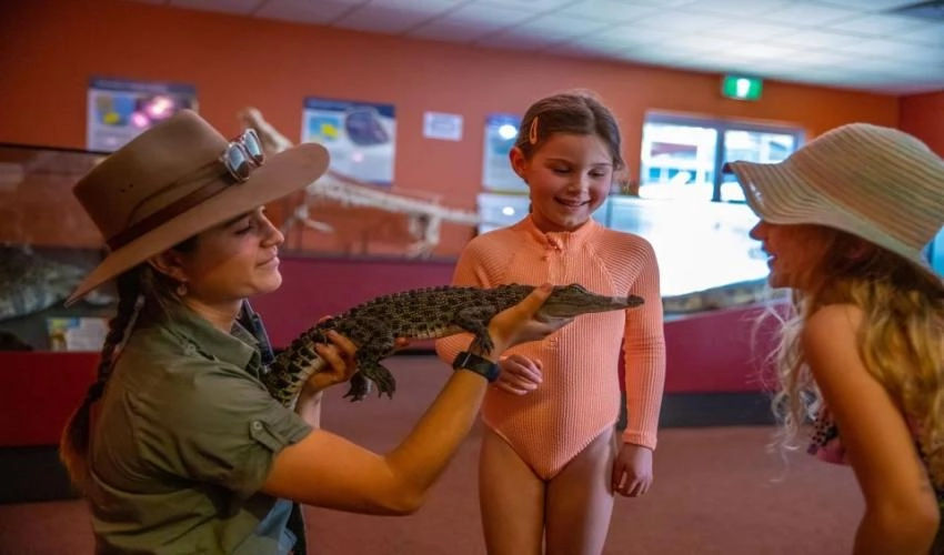Crocosaurus Cove, Darwin
