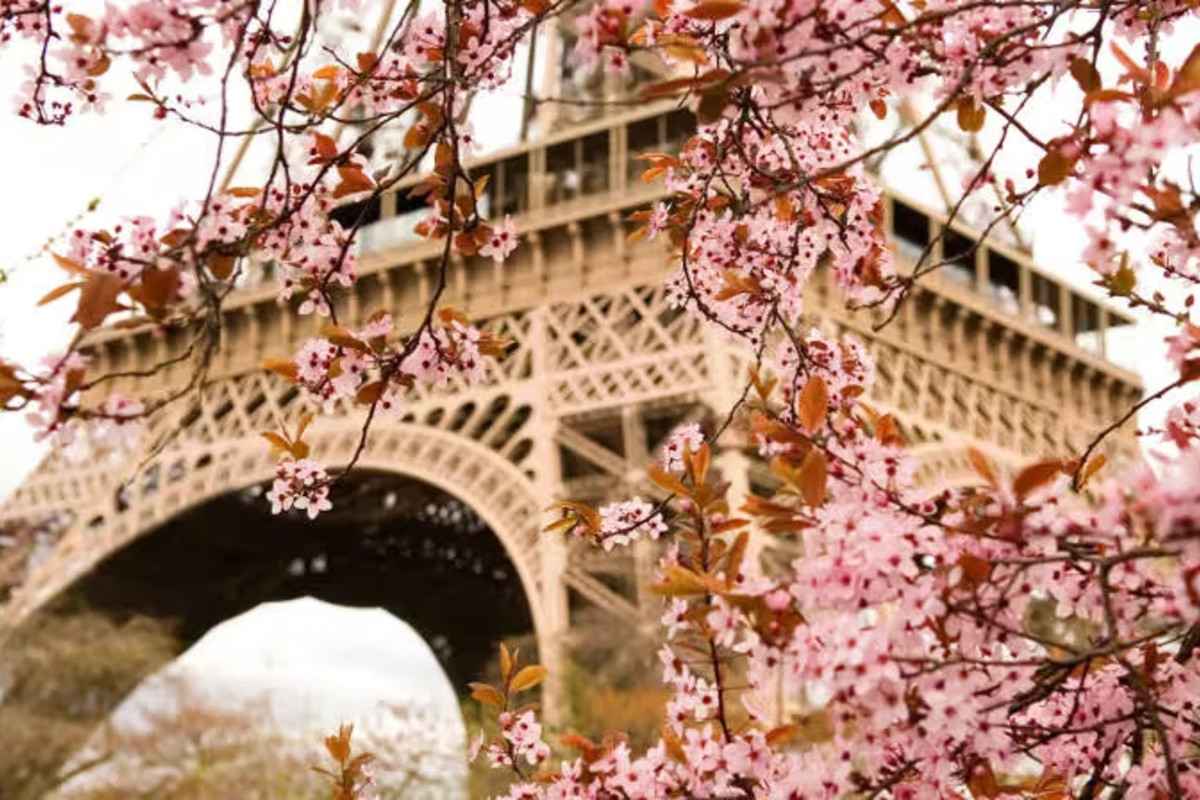Reserved Access to the Summit Eiffel Tower with Audio Guide