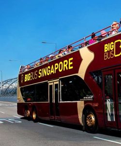 Big Bus Tours: Singapore Hop-On, Hop-Off Bus Tour