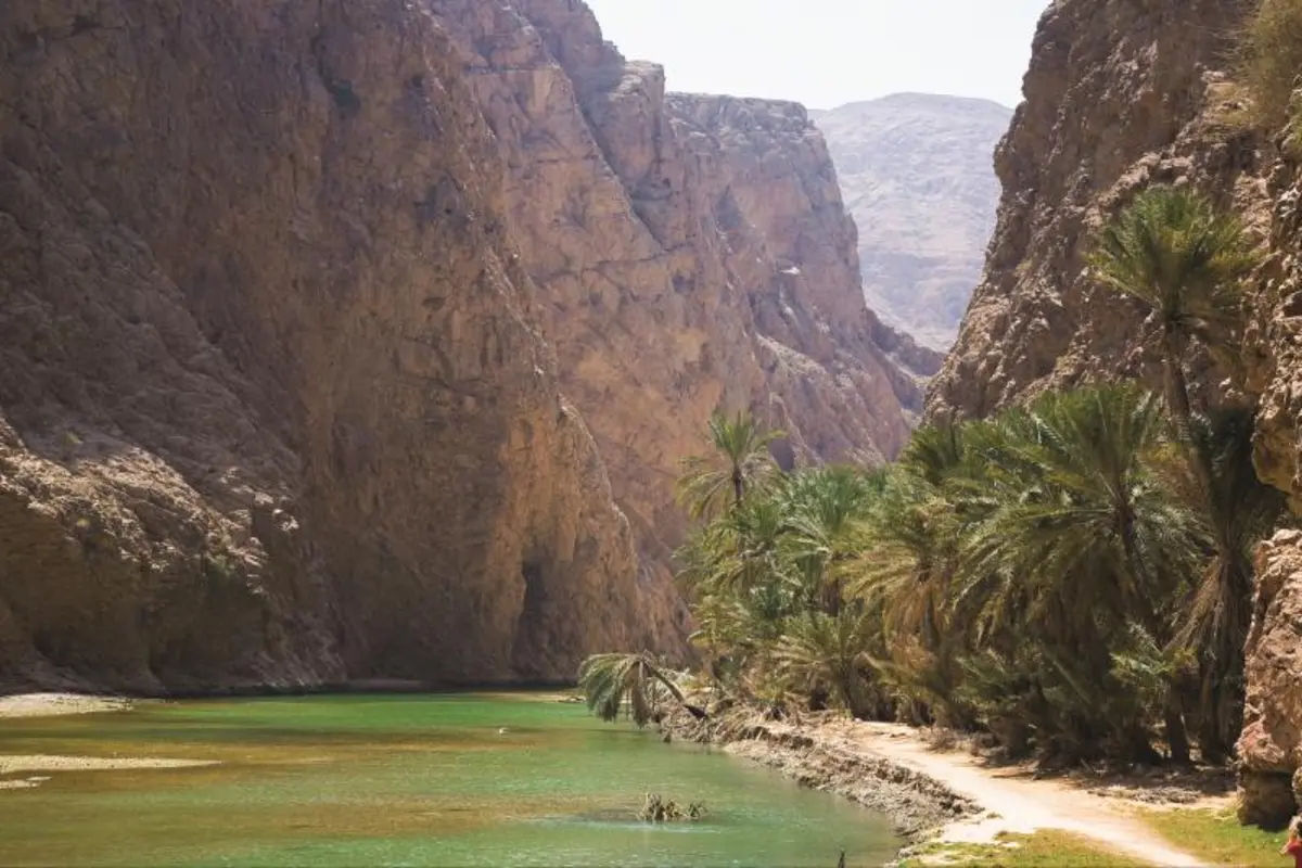 Southern Treasures and Wadi Shab Adventure Tour