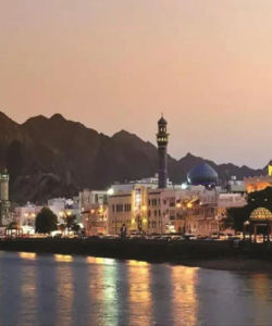 Muscat by Night Tour with Local Dinner