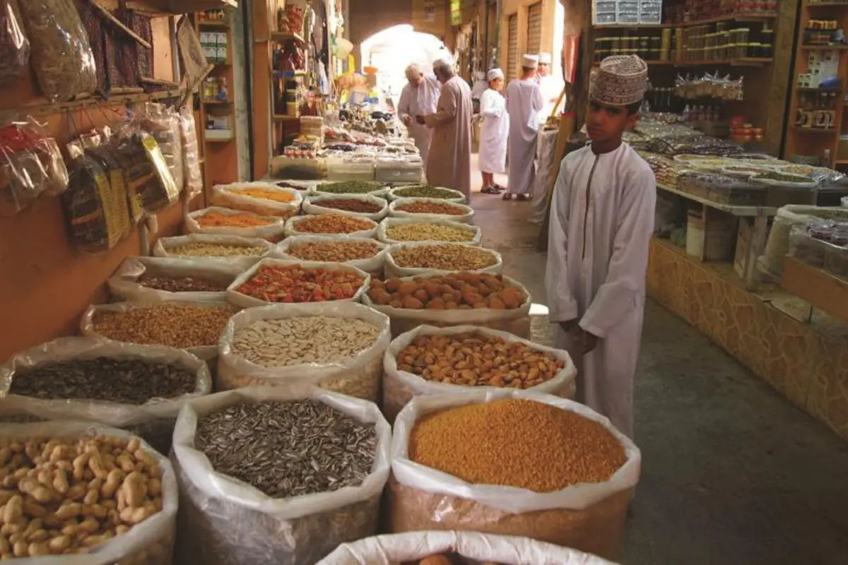 Half Day Tour to the North and Nakhl 