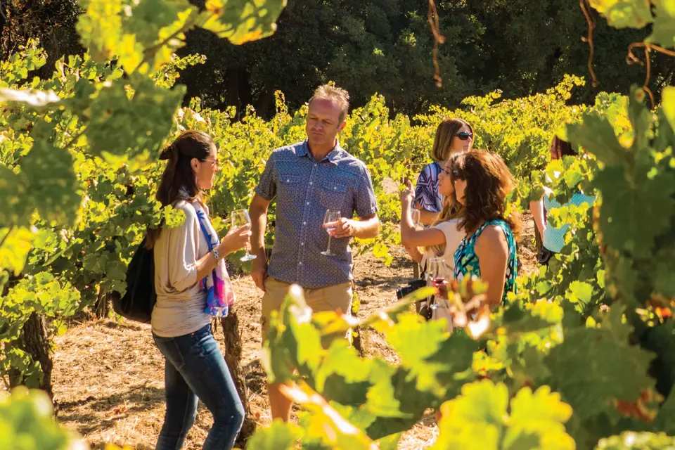 San Francisco Woods and Wine Country Tour