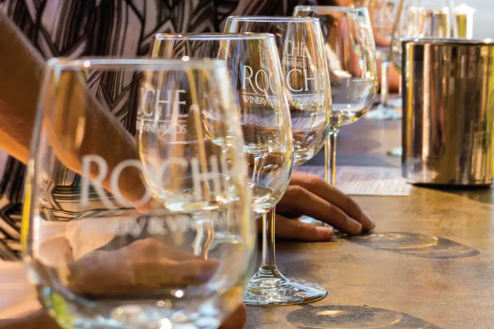 San Francisco Woods and Wine Country Tour