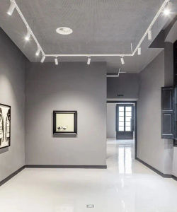 Picasso Museum Guided Tour with Ticket to Moco Museum