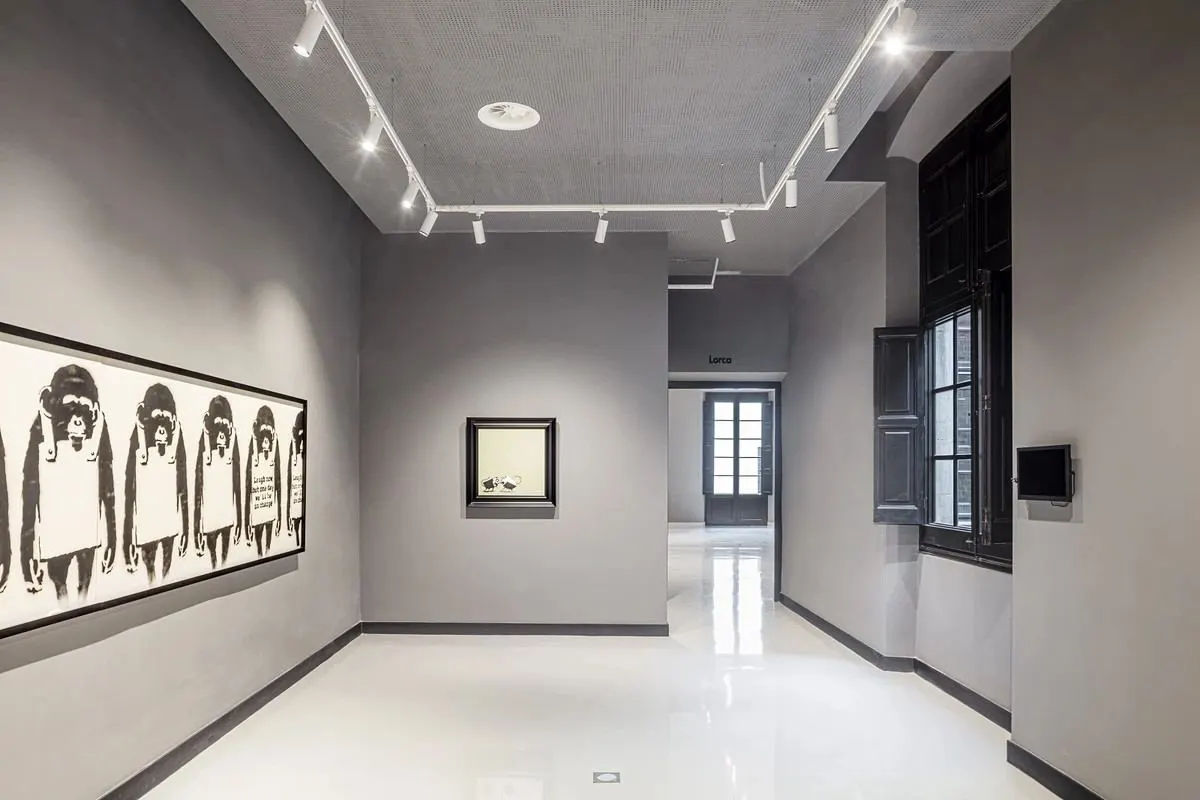 Guided Visit to Picasso Museum & Tickets to Moco Museum in Barcelona
