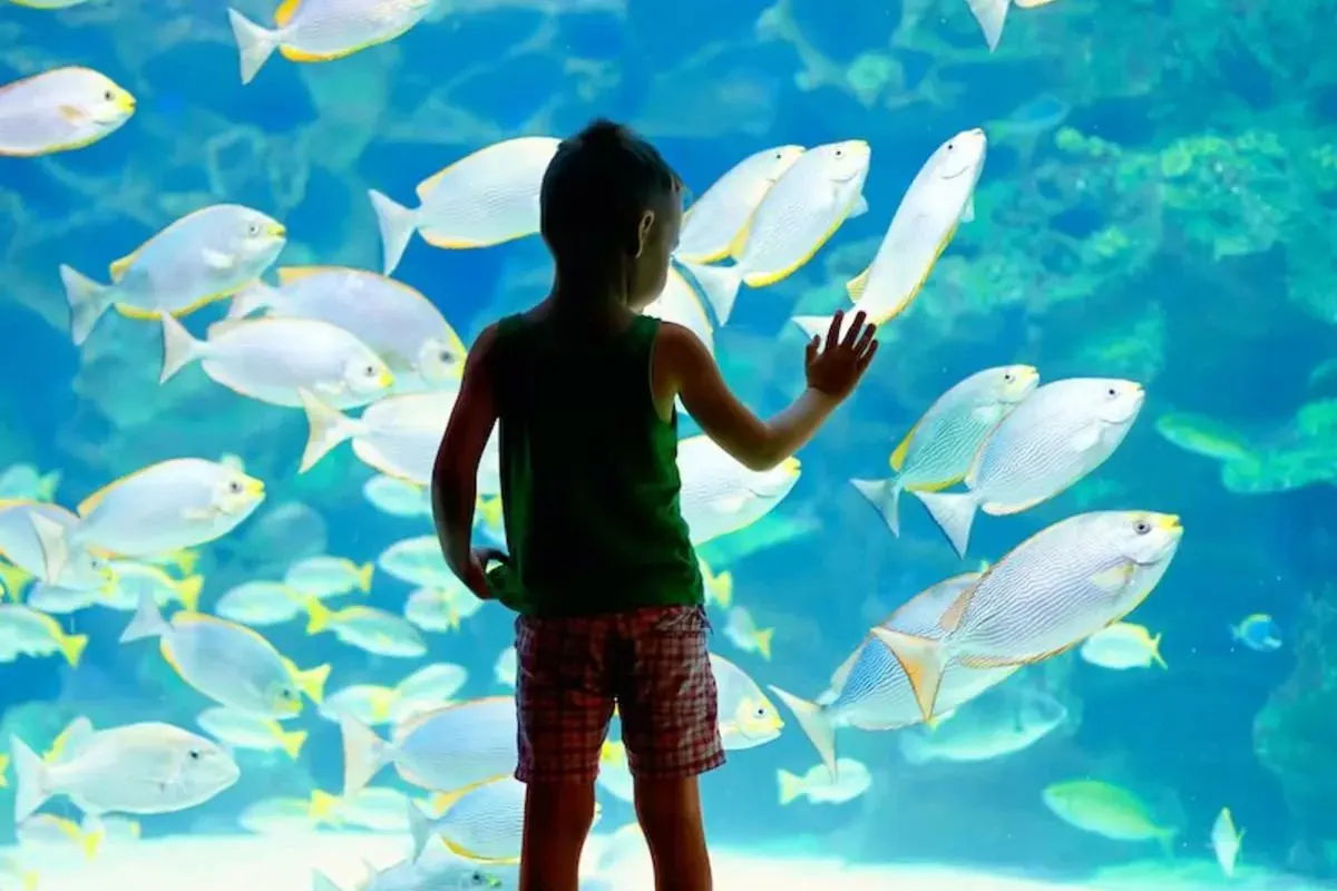 Monaco Oceanographic Museum Entry Ticket