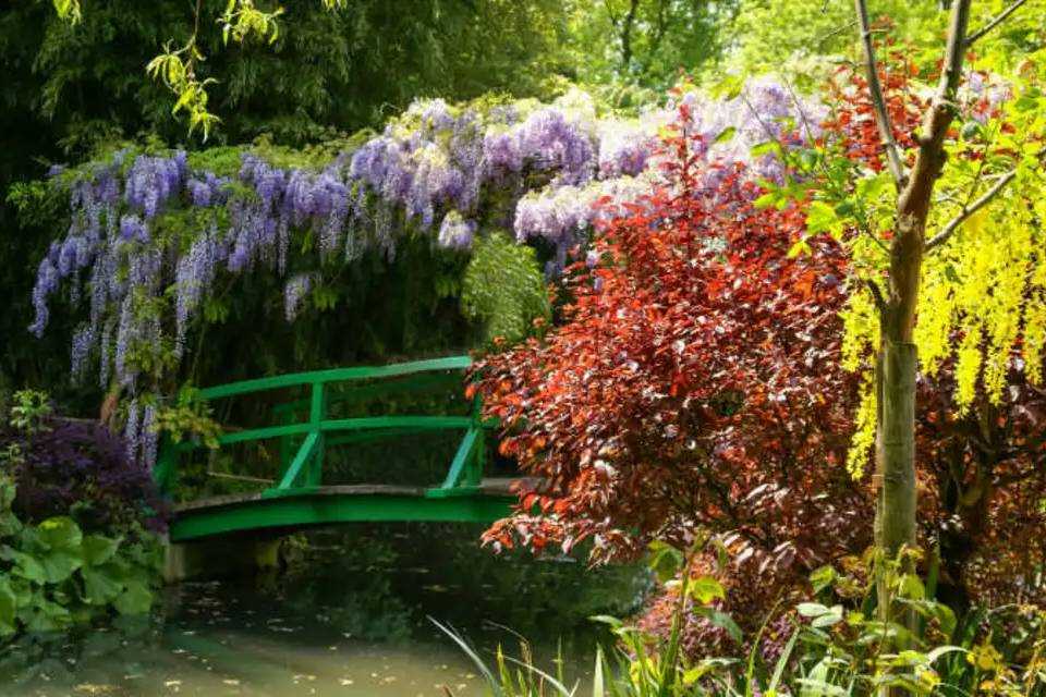 Guided Tour of Giverny Monet's Gardens and the Palace of Versailles with Lunch and Transfers