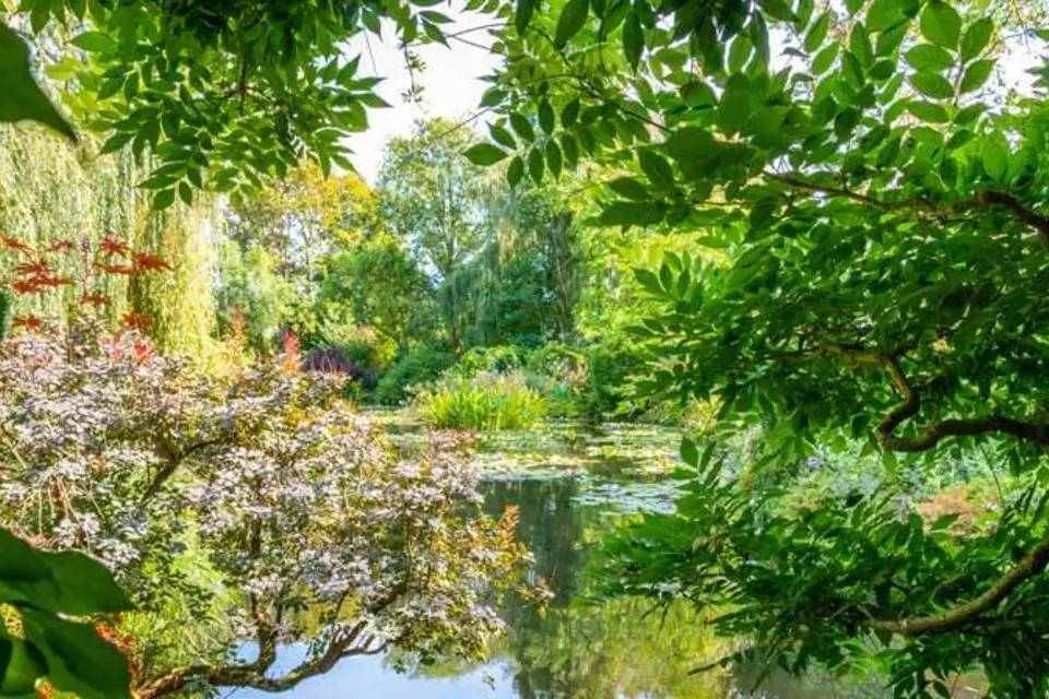 Half Day Trip to Giverny Monet's Gardens with Transfers