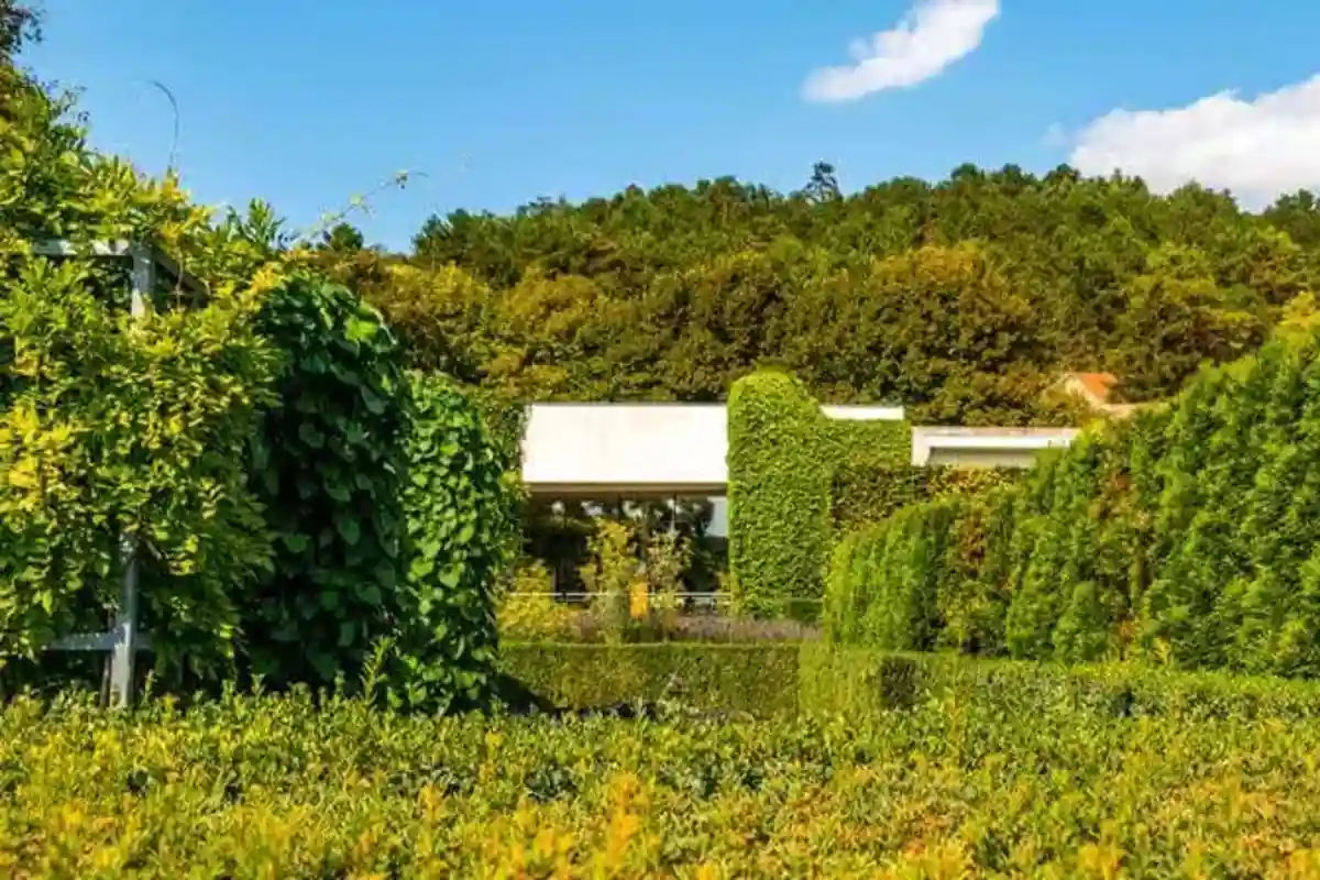 Impressionist Day Trip at Giverny from Paris with Transfers
