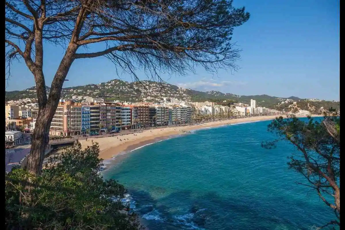 Barcelona Golden Sunset and Chill-Out