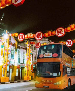 City Tours: FunVee Chinatown Light Up Tour