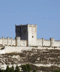  White and Red Wine Route: Ribera del Duero and Rueda 