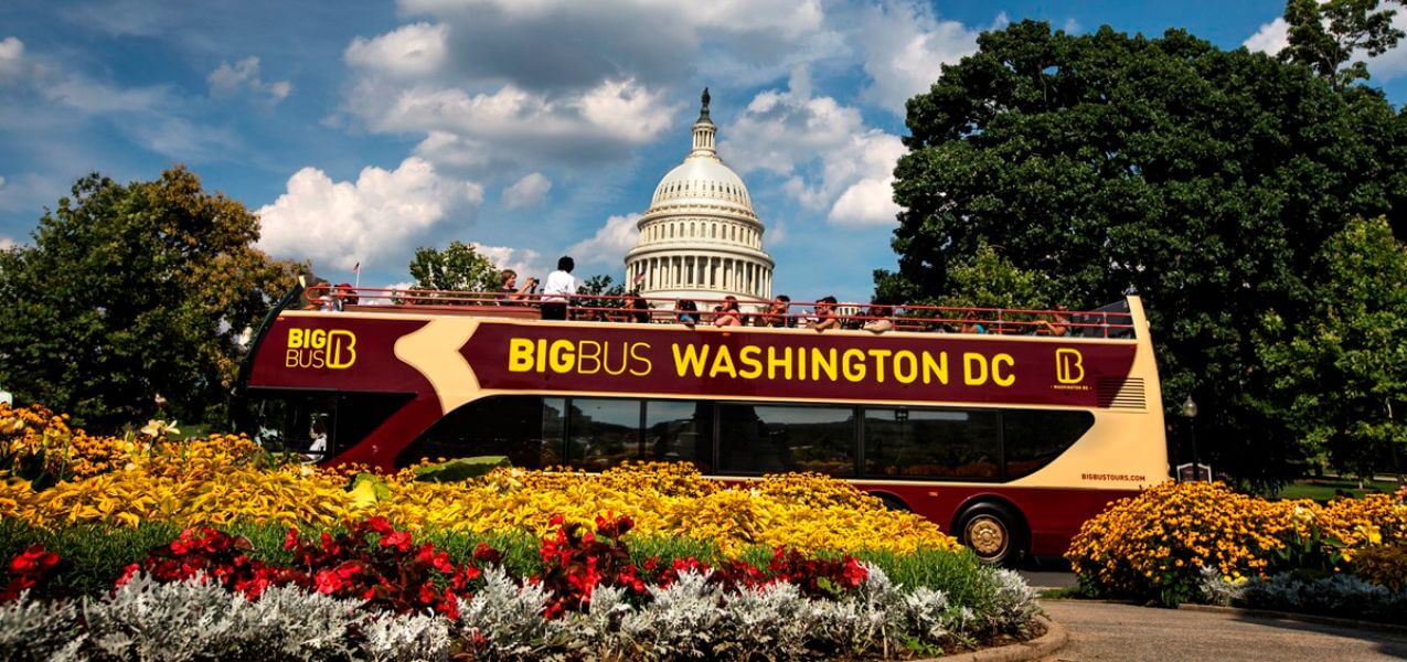 Big Bus: Washington DC Hop-On, Hop-Off Tour