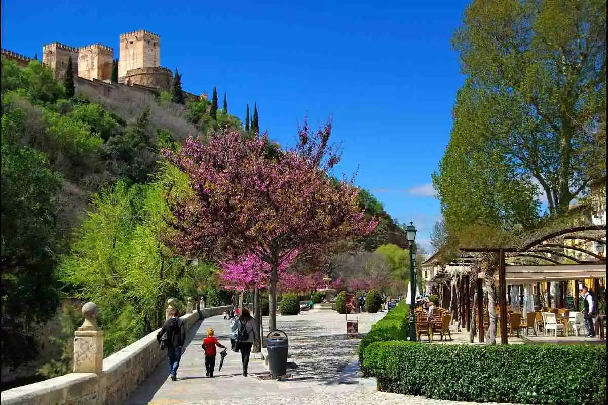 Albaicin and Sacromonte Tour