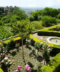 Guided Tour to Alhambra and Generalife -Small Group