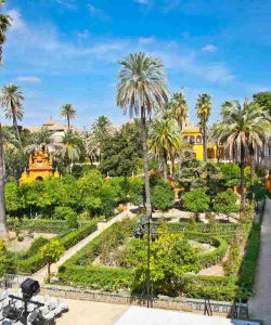 Guided Tour of the Royal Alcazar of Seville