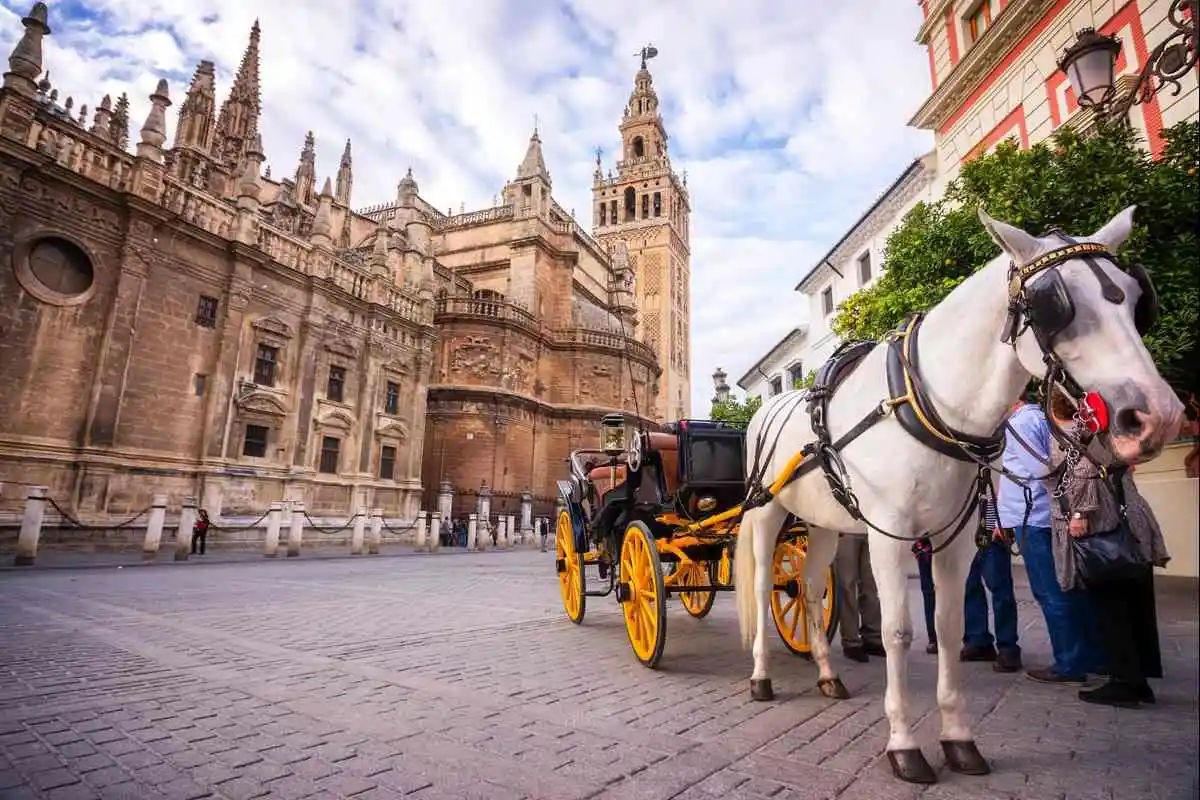 Guided visit to the Cathedral of Seville
