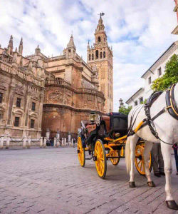 Guided Visit to the Cathedral of Seville