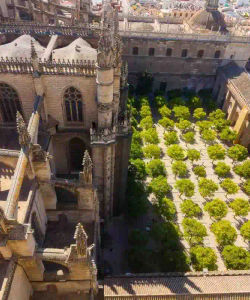 Guided Visit to the Cathedral of Seville