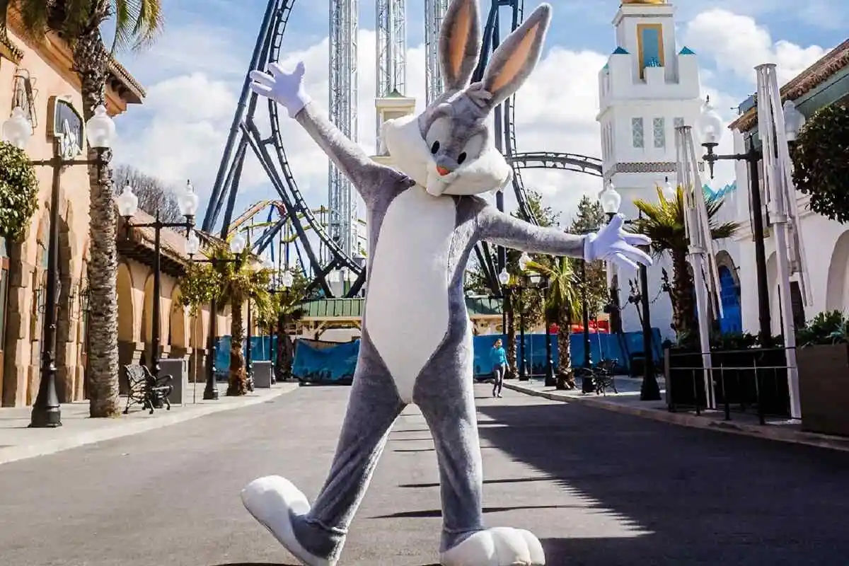 Parque Warner From Madrid Full Day Trip New!