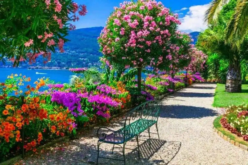 Lake Maggiore Day Trip