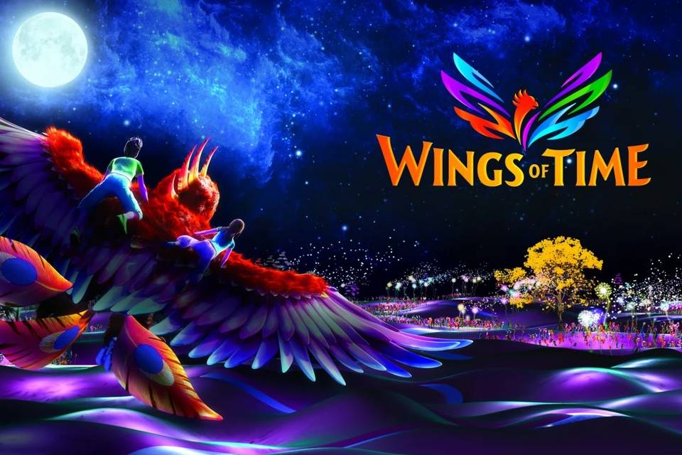 Wings of the Time Standard Ticket