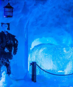 Entrance to Amsterdam Icebar Including Drinks