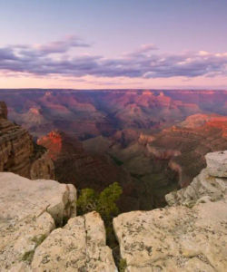 Grand Canyon South Rim Bus Tours from Las Vegas