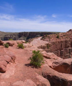 Grand Canyon West Rim Bus Tours from Las Vegas