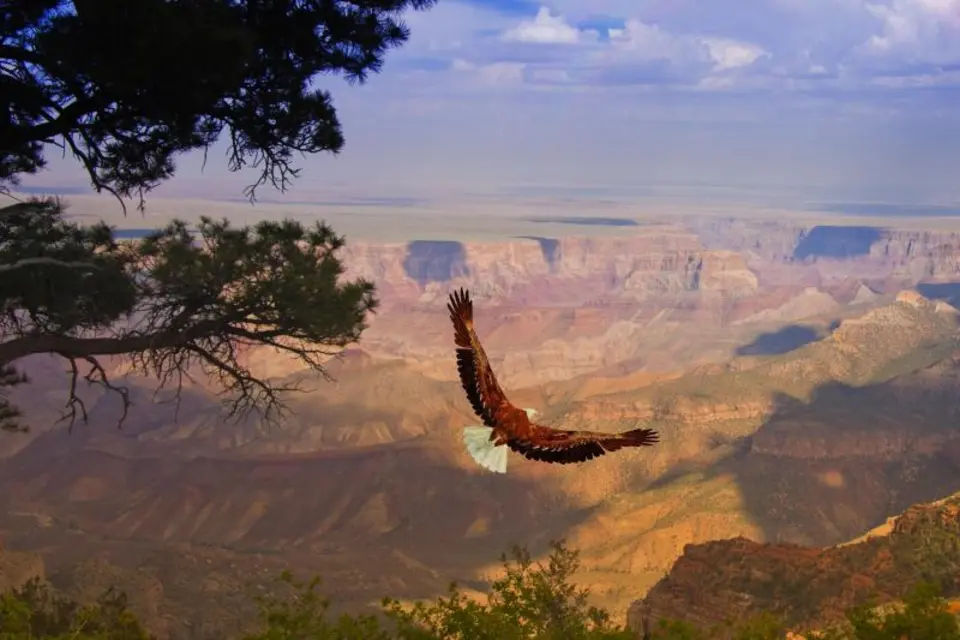 Grand Canyon West Rim Bus Tours with Helicopter Landing