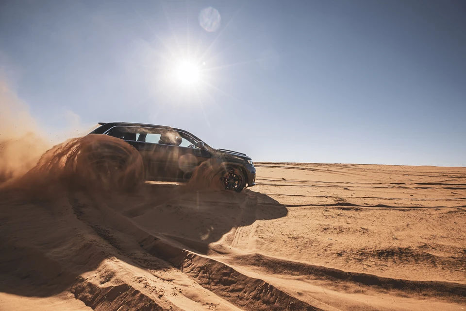 4x4 Desert Safari with Dinner From Riyadh